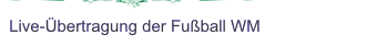 Live &Uuml;bertragung der Fu&szlig;ball WM 2010 (Viertelfinale)
